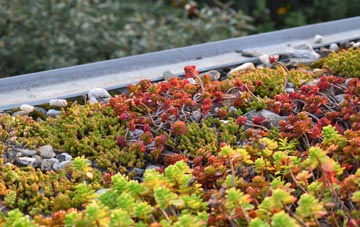 the cost of Brenachie green roof installation