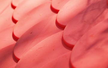 Brenachie plastic roof costs