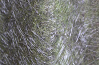 Brenachie fibreglass roof work