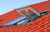 Brenachie roof window
